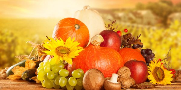 润滑油经销商如何参加企业年会,收获最大