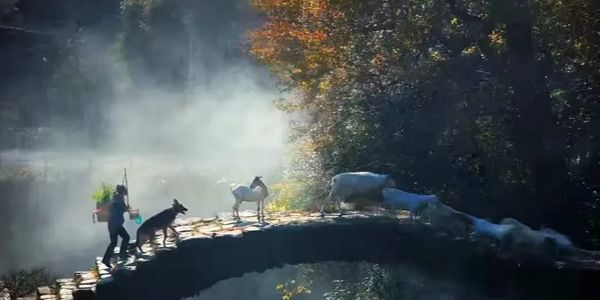 营销有两种价值观:信息是否对称