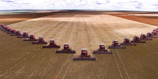 农机用油市场.jpg 内参:丹弗润滑油厂区介绍标准流程