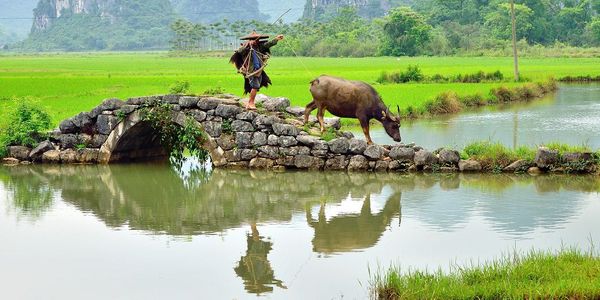 润滑油品牌网.jpg 勤劳致富,你信了?这恐怕是最大的谎言